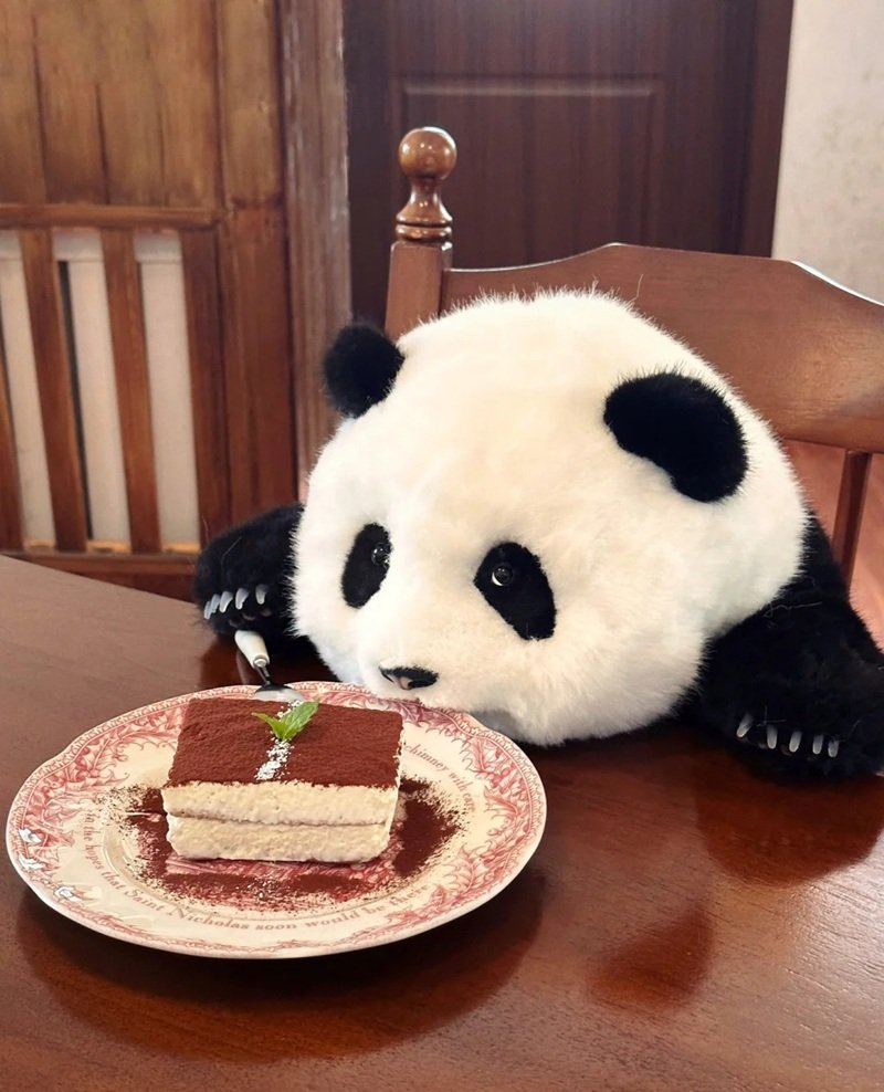 avatar gấu trúc cute 39