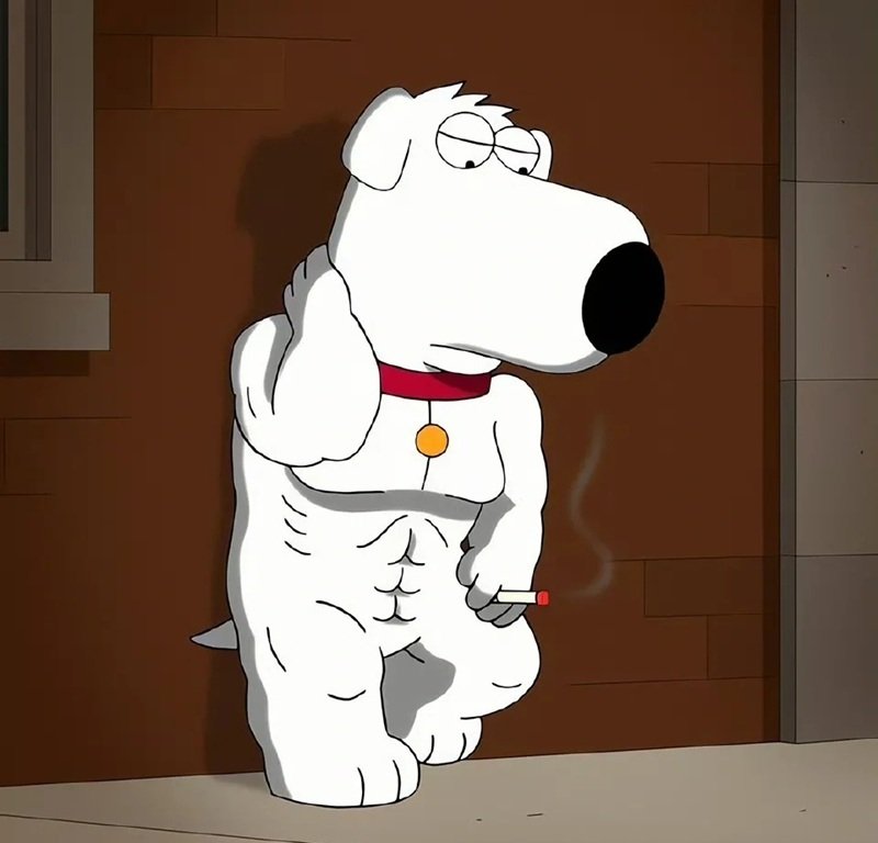 avatar hài ngầu 10