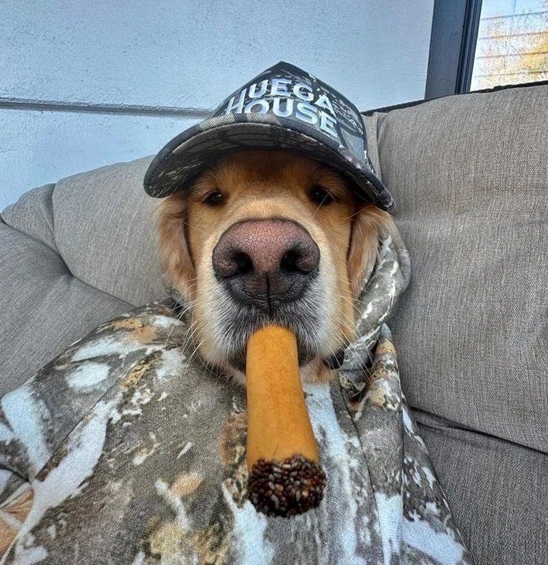 avatar hài ngầu 18