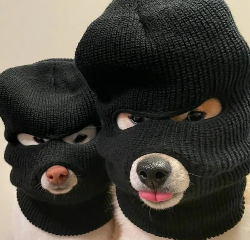 avatar hài ngầu 19