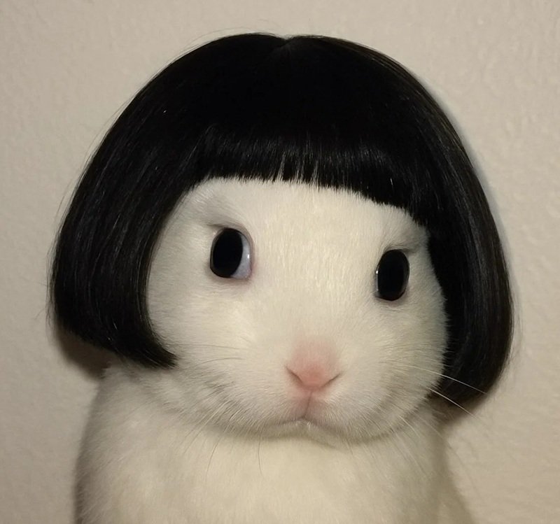 avatar hài ngầu 23