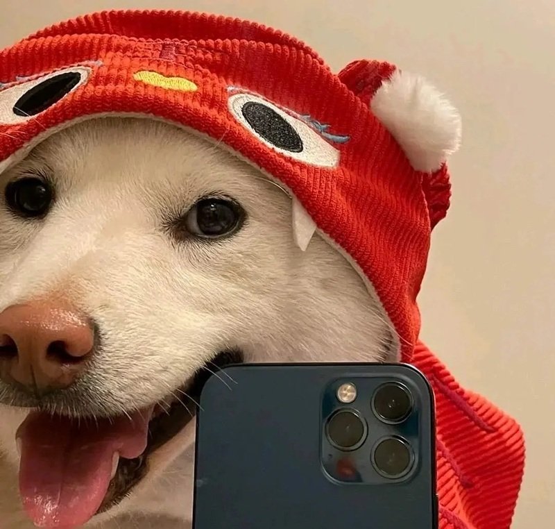 avatar hài ngầu 39