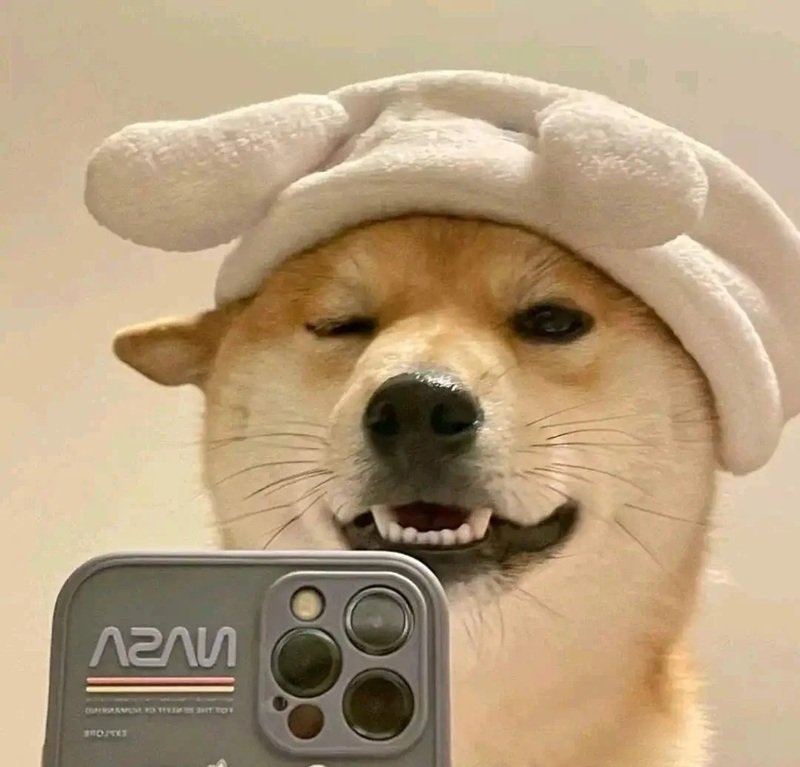 avatar hài ngầu 46