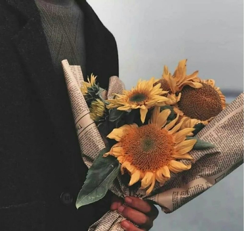 avatar hoa hướng dương buồn 29