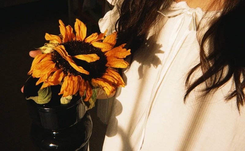 avatar hoa hướng dương buồn 32