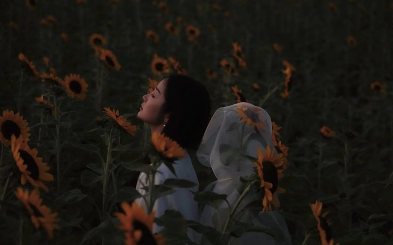 avatar hoa hướng dương buồn 35