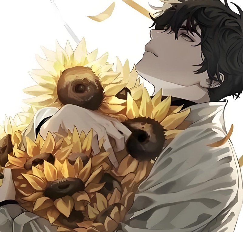 avatar hoa hướng dương buồn 4