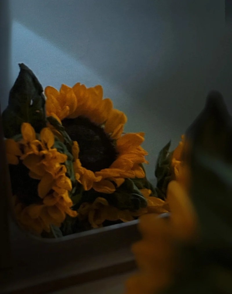 avatar hoa hướng dương buồn 40