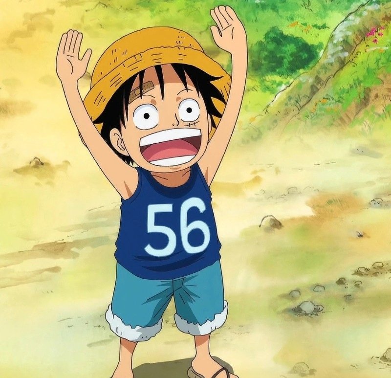 avatar luffy cute 10
