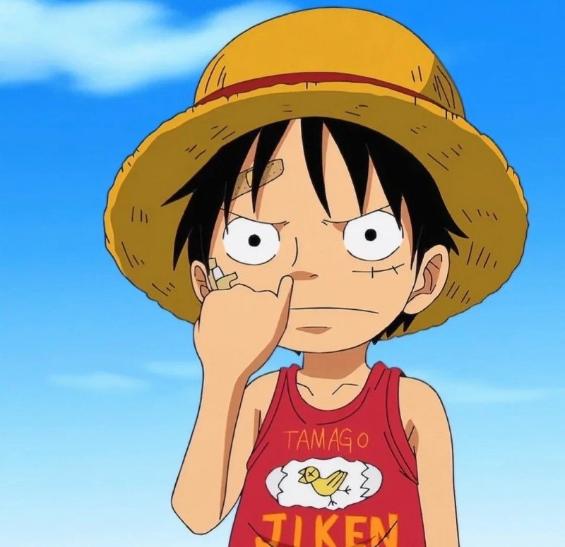 avatar luffy cute 11