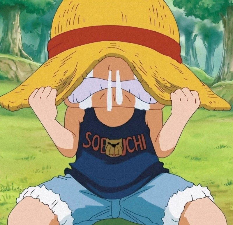 avatar luffy cute 12