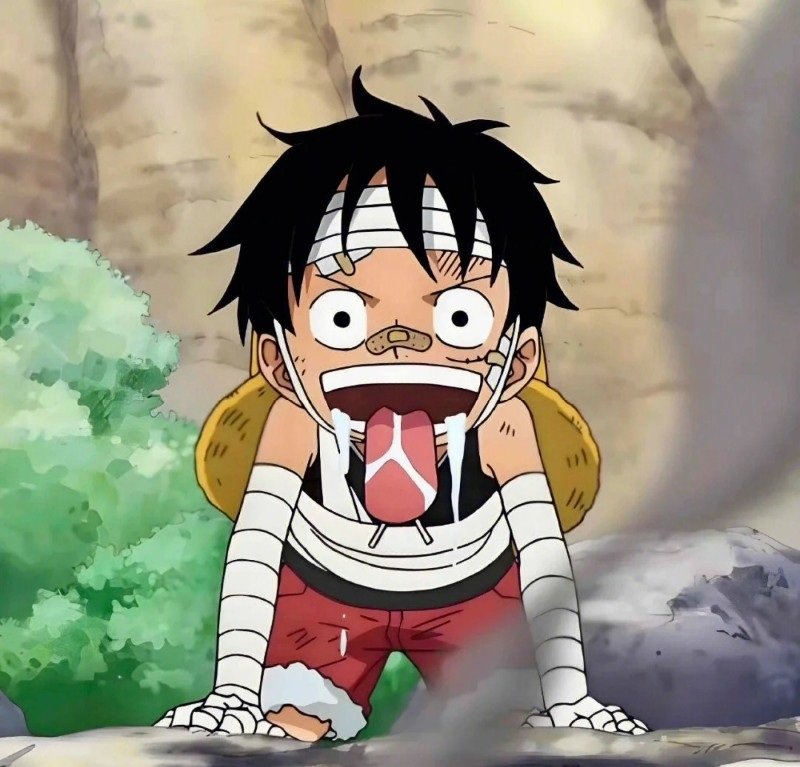 avatar luffy cute 13