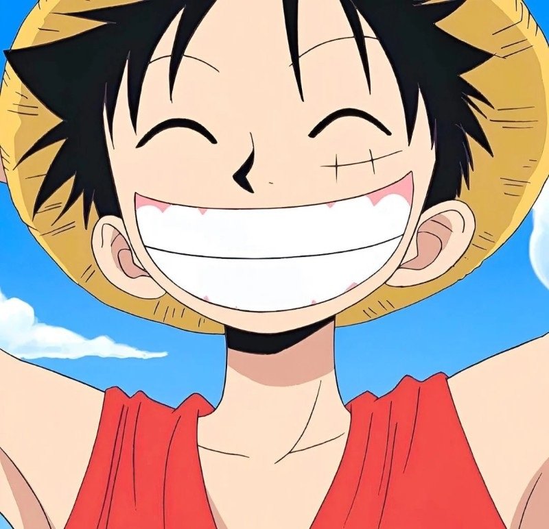avatar luffy cute 25