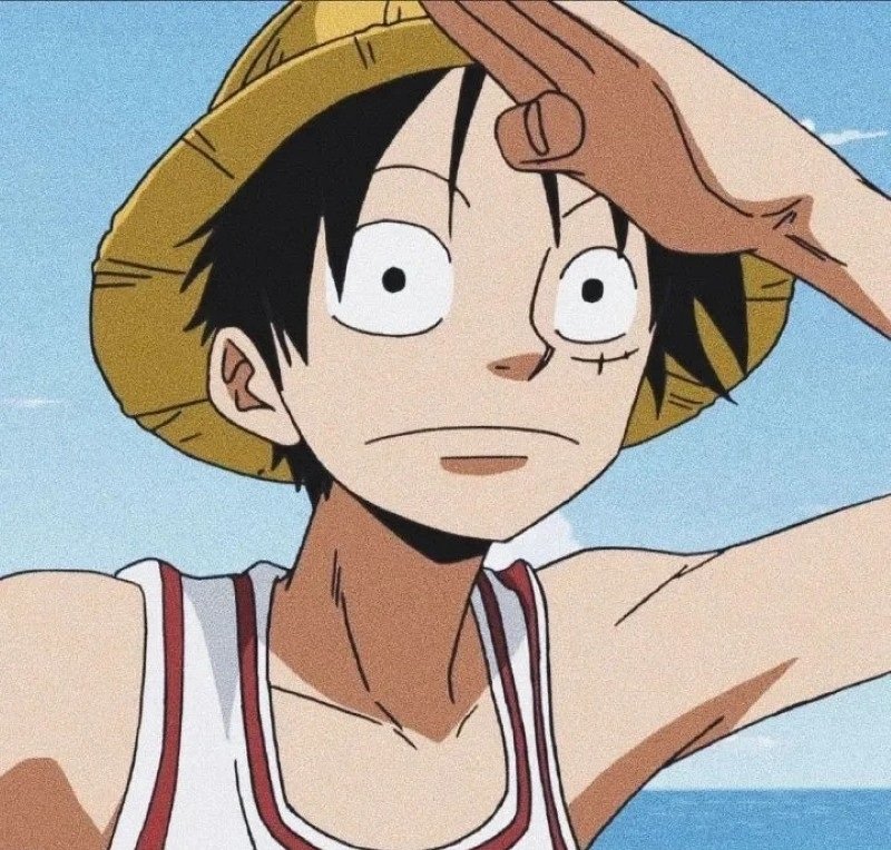 avatar luffy cute 29
