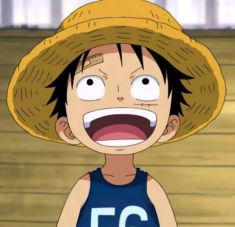 avatar luffy cute 36