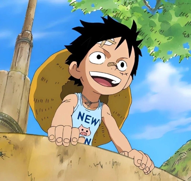 avatar luffy cute 38