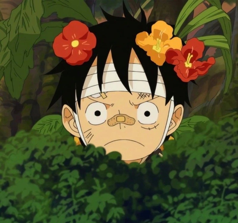 avatar luffy cute 39