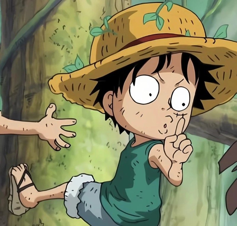 avatar luffy cute 4
