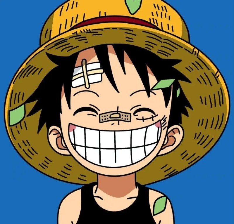 avatar luffy cute 6