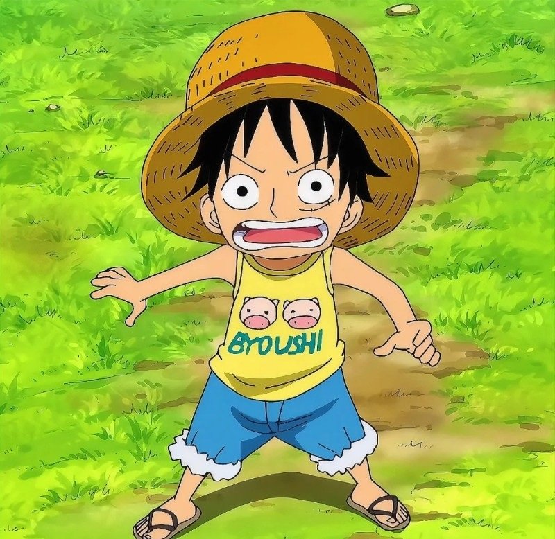 avatar luffy cute 9