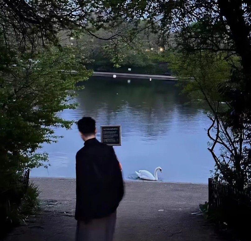 avatar mặc định ngầu 19