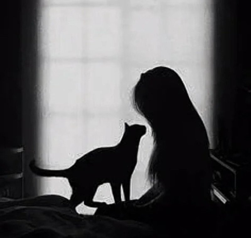 avatar màu đen buồn 19