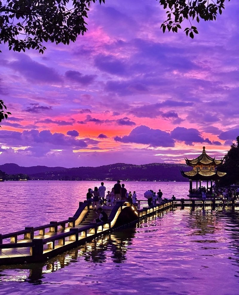 avatar màu tím ngầu 1