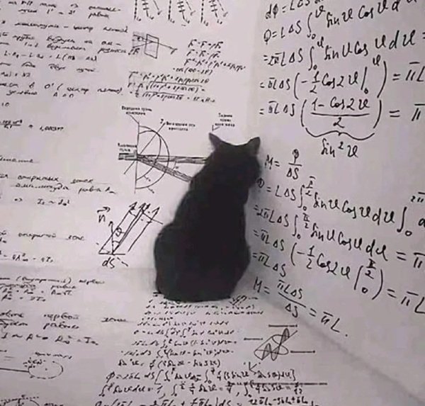 avatar mèo buồn 8