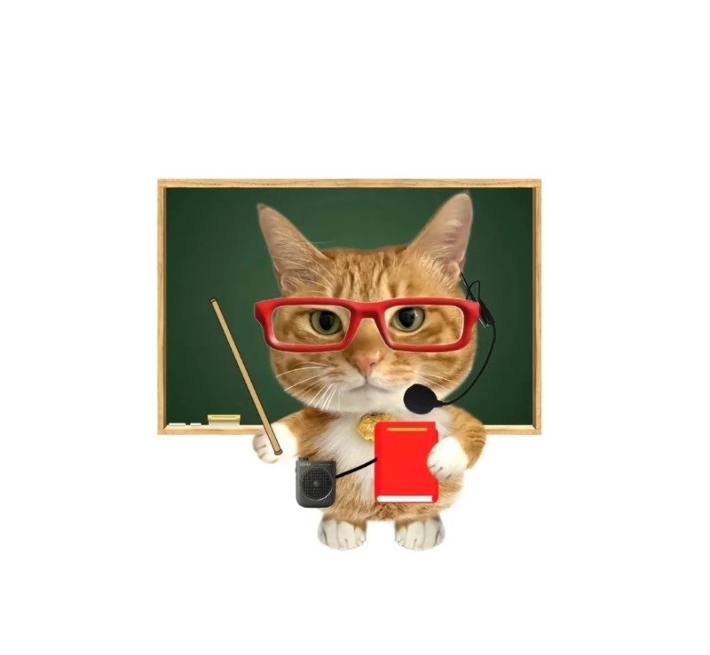 avatar mèo đeo kính cute 25