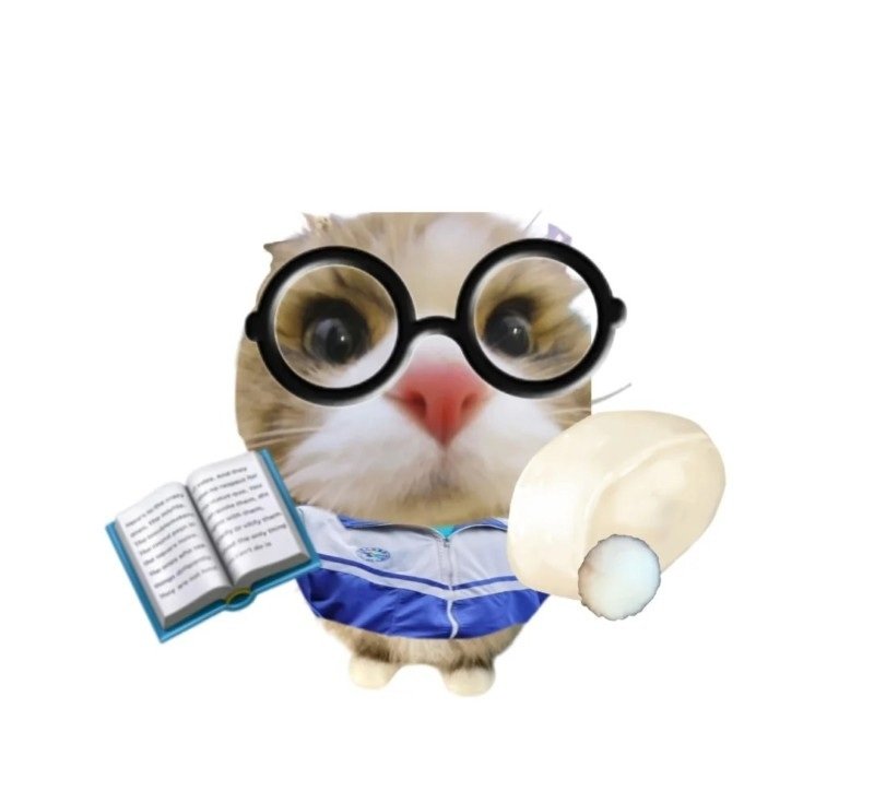 avatar mèo đeo kính cute 6
