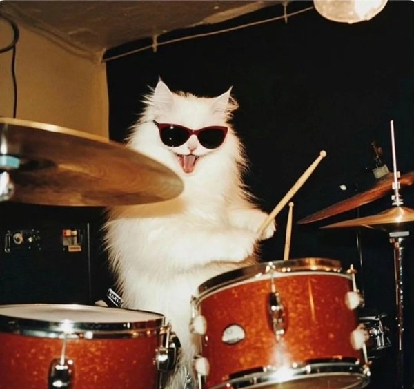 avatar mèo ngầu 9