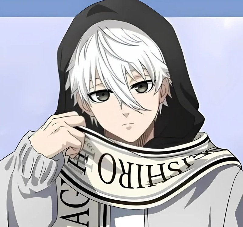 avatar nagi ngầu 13