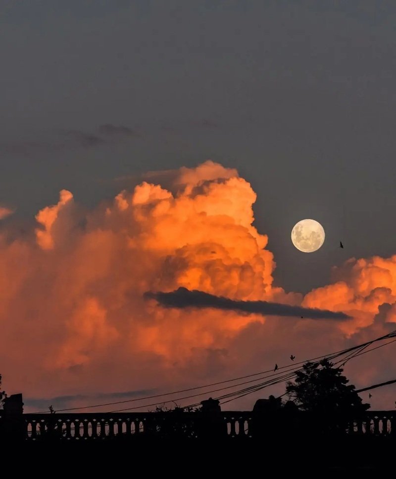 avatar phong cảnh buồn 17