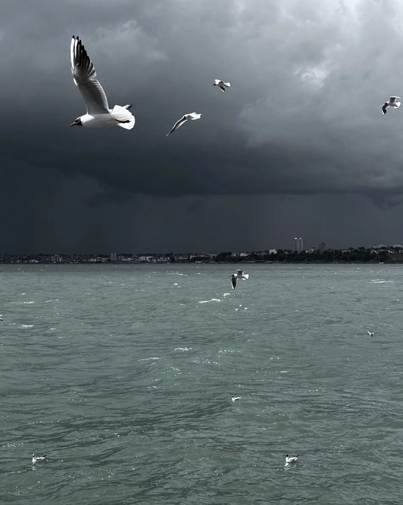 avatar phong cảnh buồn 21