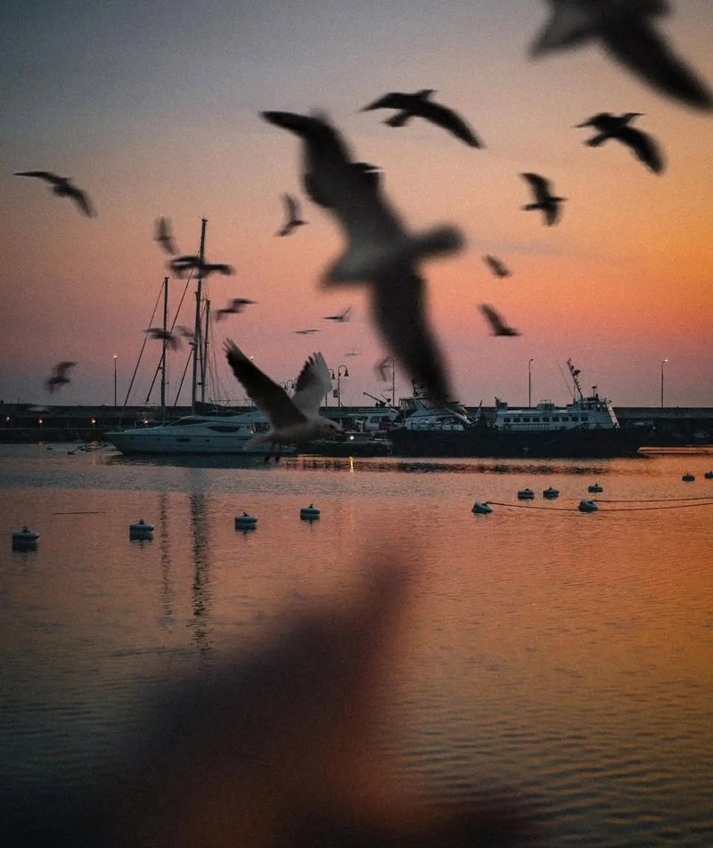 avatar phong cảnh buồn 26