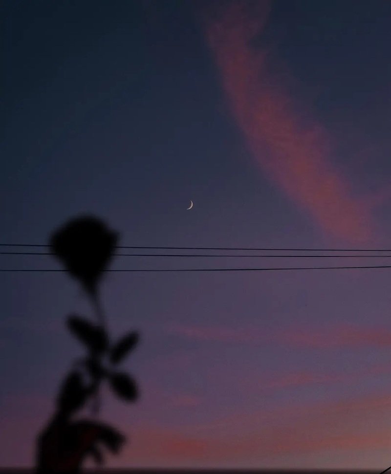 avatar phong cảnh buồn 27