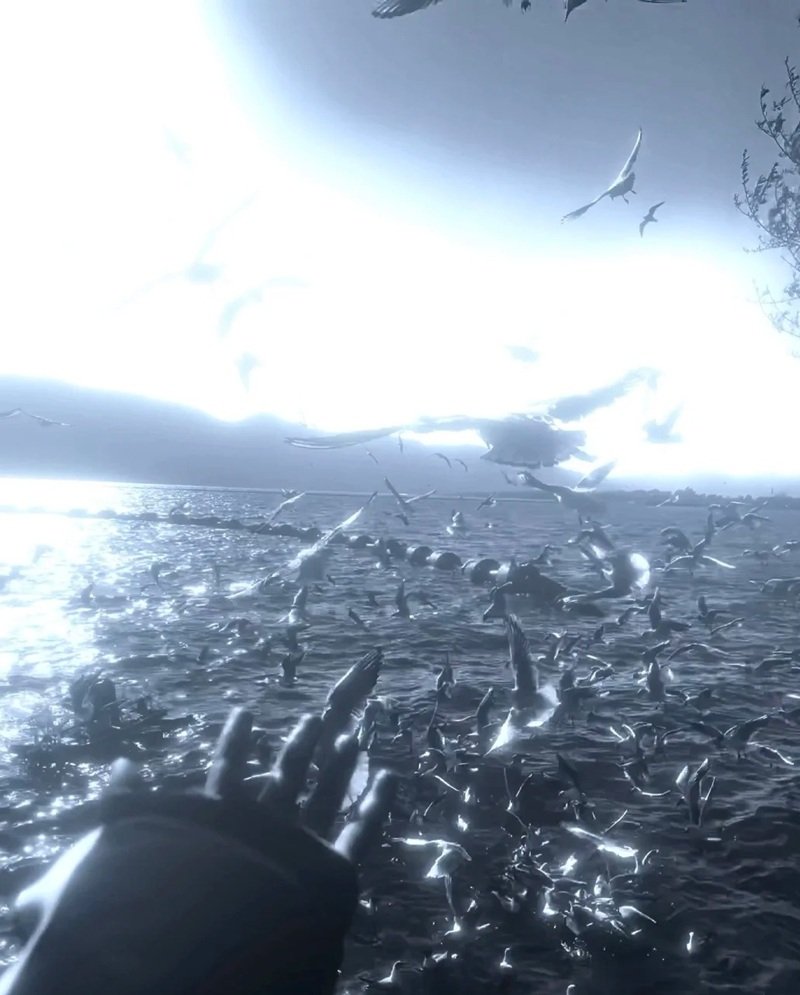 avatar phong cảnh buồn 4