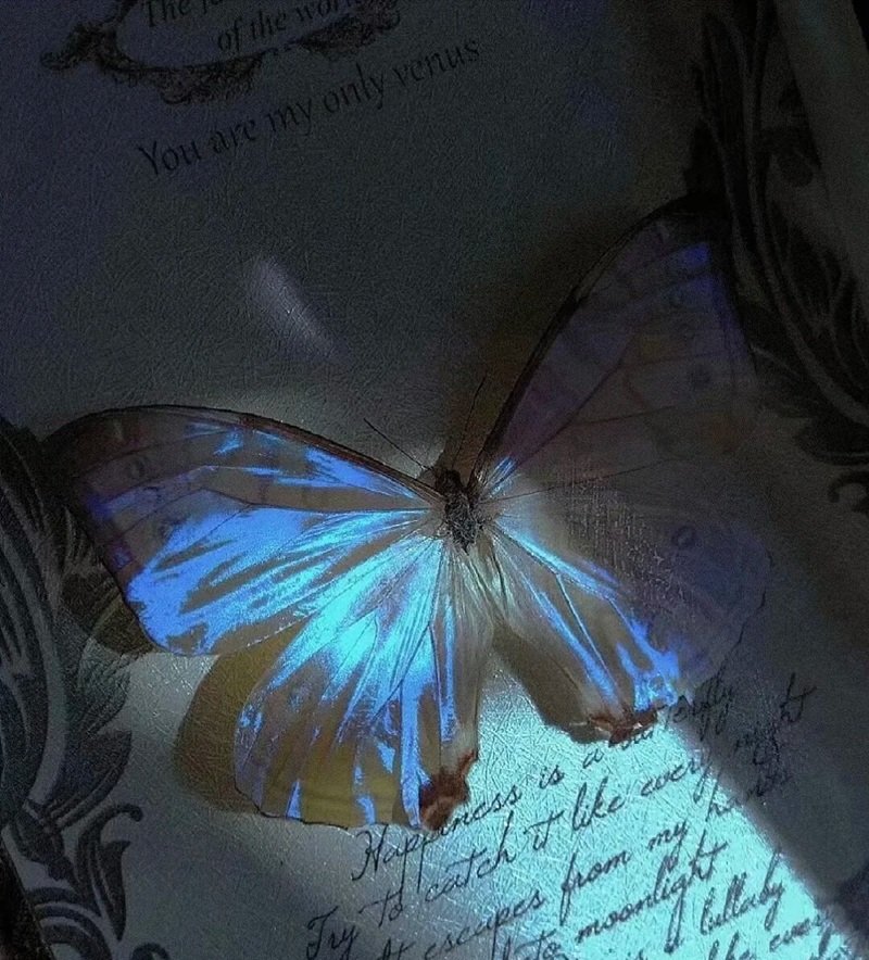 avatar tâm trạng buồn 33