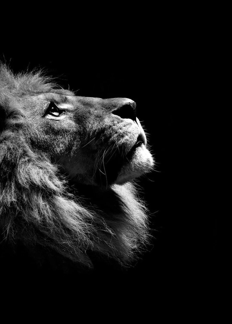 avatar tâm trạng buồn 8