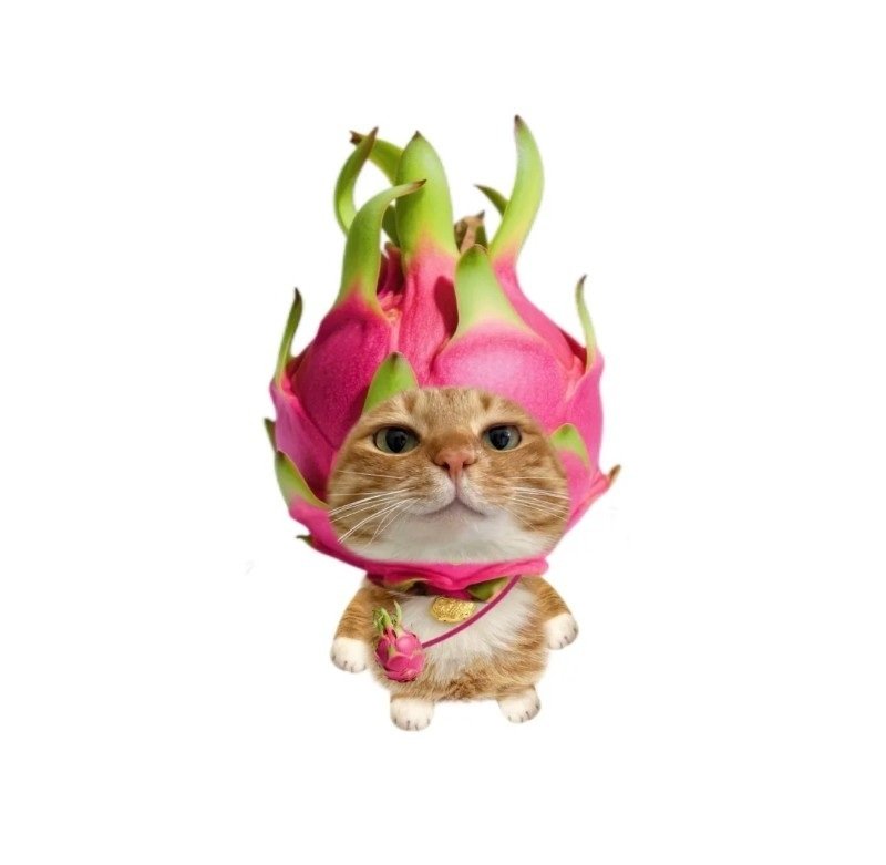 avatar trái cây cute 25