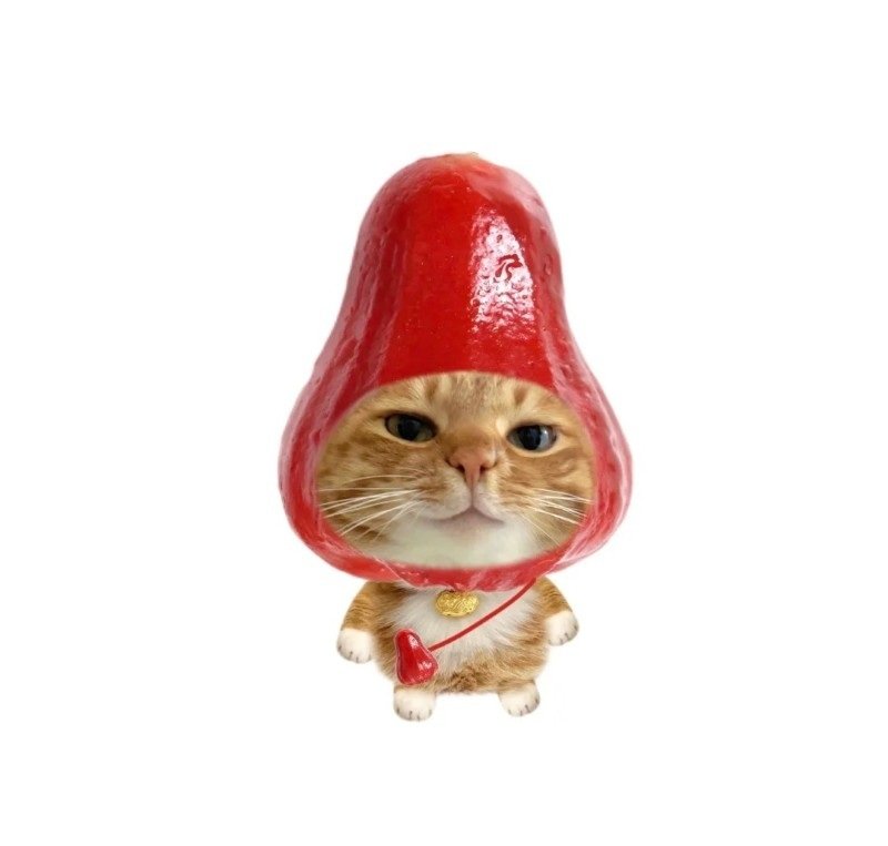 avatar trái cây cute 26