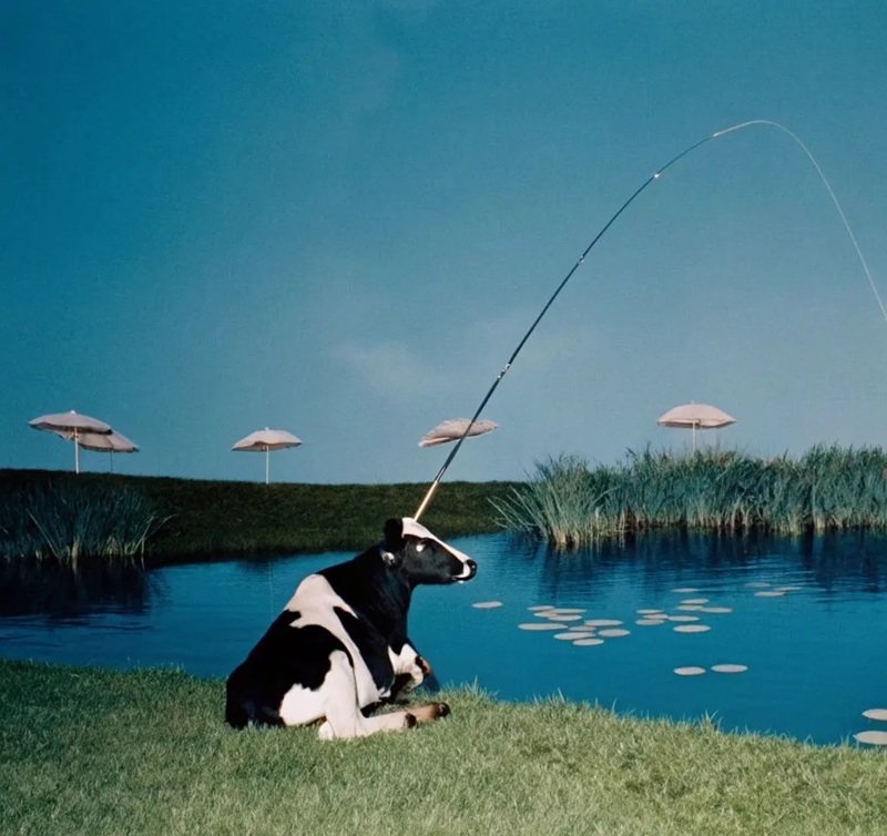 avatar vô tri ngầu 20