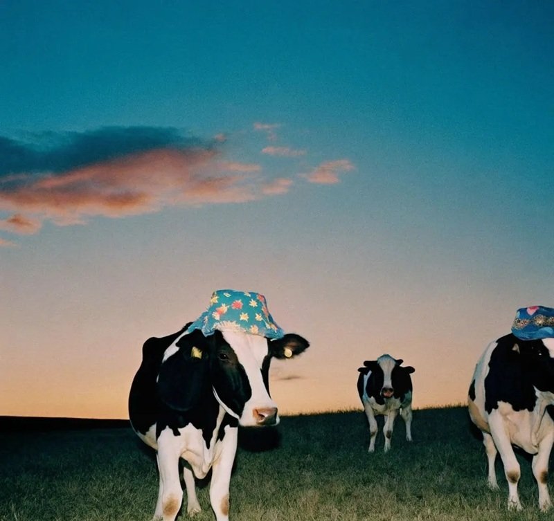 avatar vô tri ngầu 22