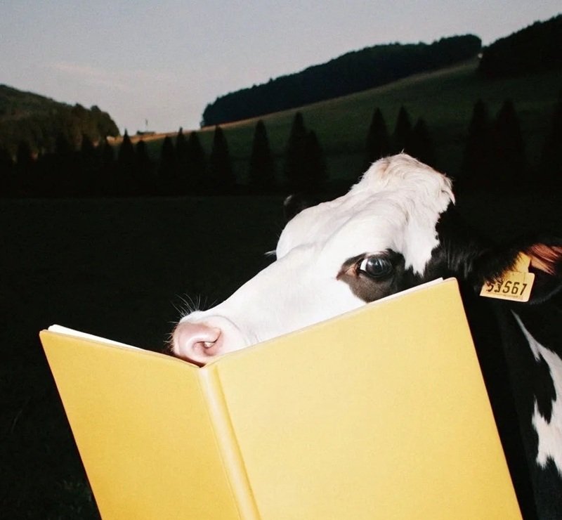 avatar vô tri ngầu 23