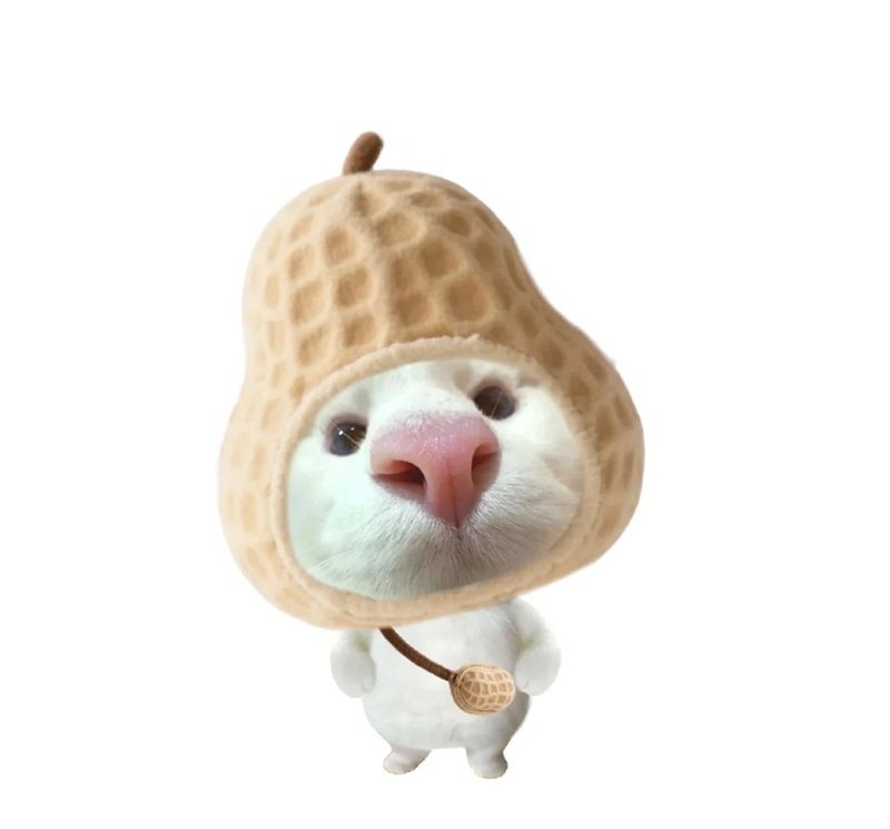 avatar vô tri ngầu 6