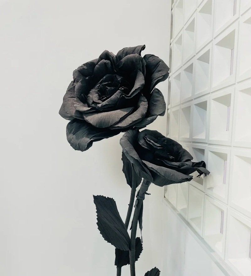 buồn avatar ảnh hoa hồng đen chất 20