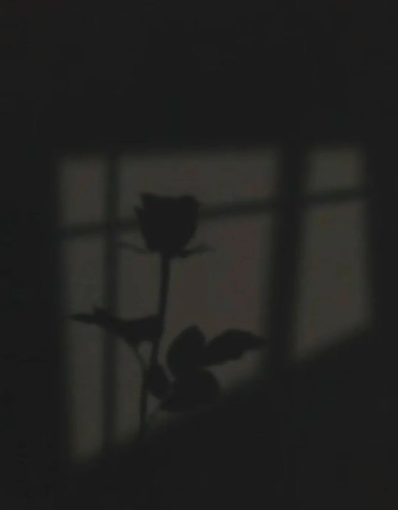 buồn avatar ảnh hoa hồng đen chất 21