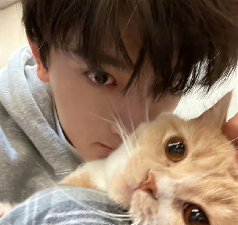 facebook đôi avatar cặp người thật chất 20