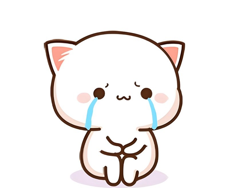 hình avatar mèo buồn 7