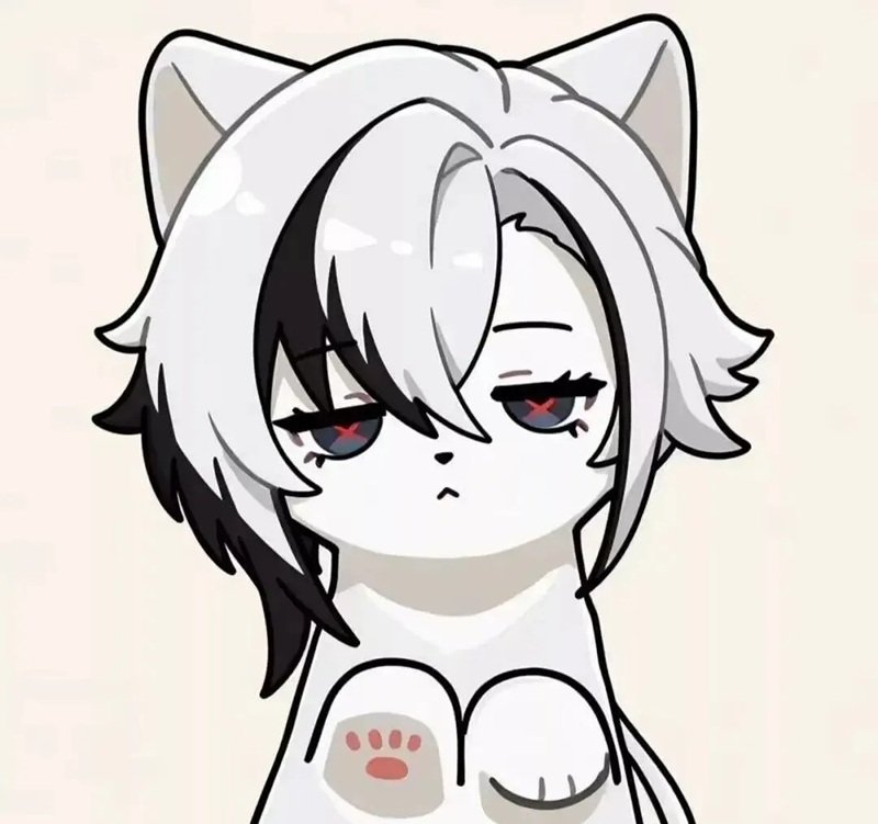 hình avatar mèo cute 8